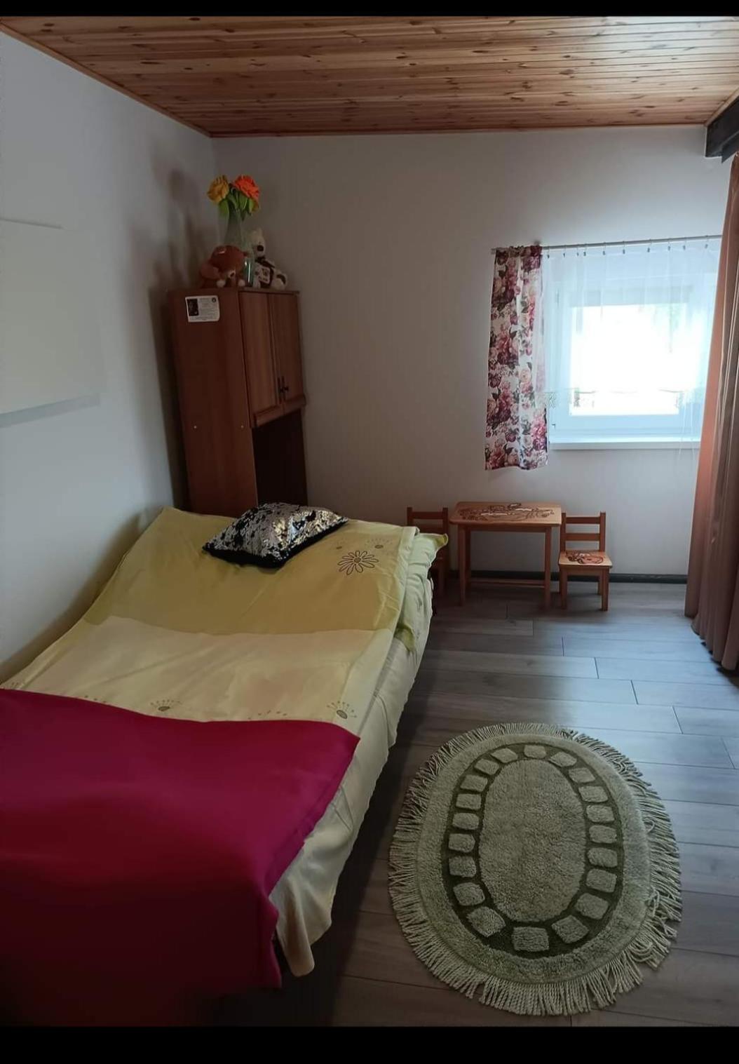 Wczasy Na Kaszubach U Hani Wiele Exteriér fotografie