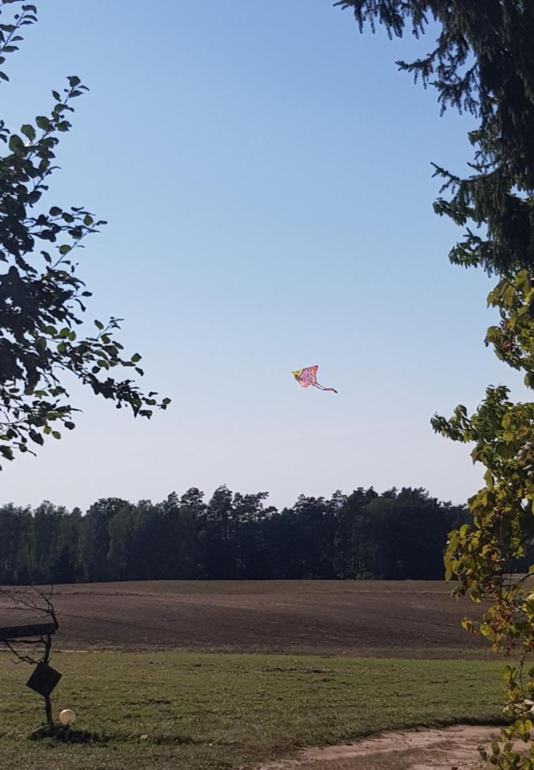 Wczasy Na Kaszubach U Hani Wiele Exteriér fotografie