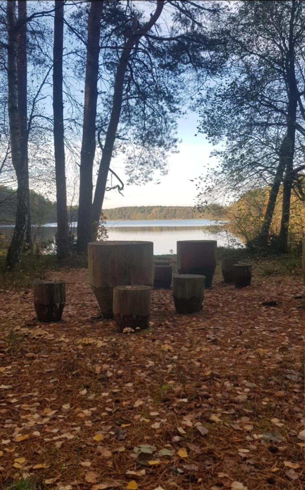 Wczasy Na Kaszubach U Hani Wiele Exteriér fotografie