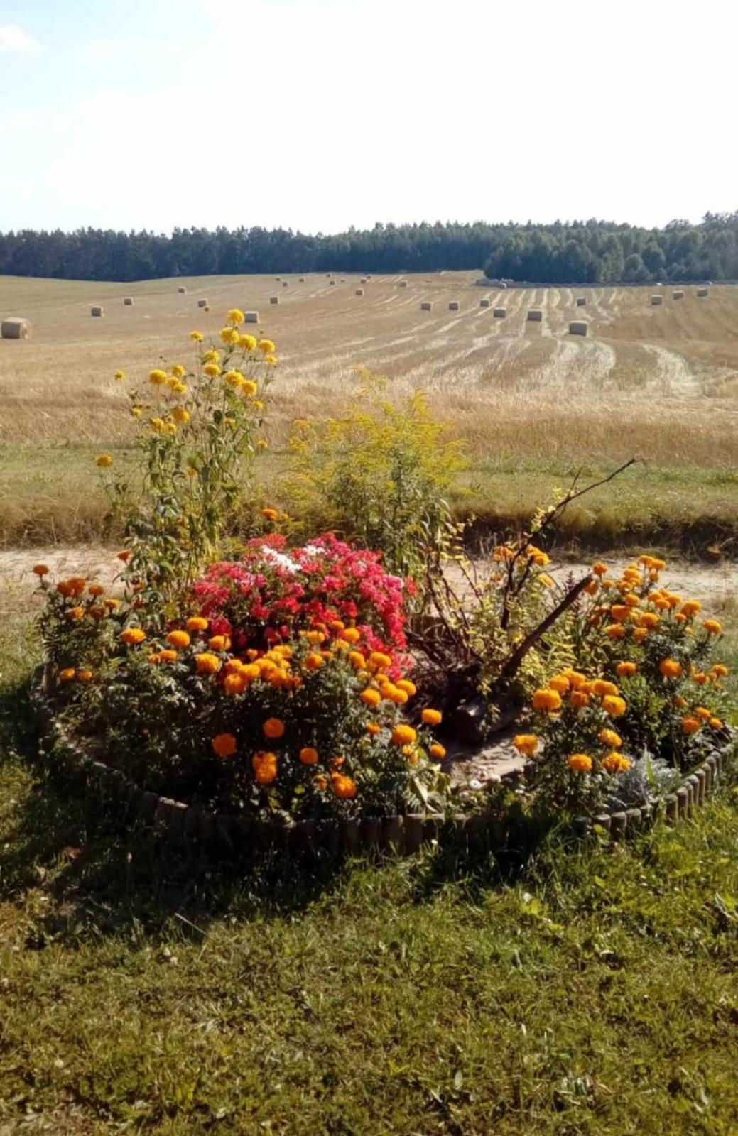 Wczasy Na Kaszubach U Hani Wiele Exteriér fotografie