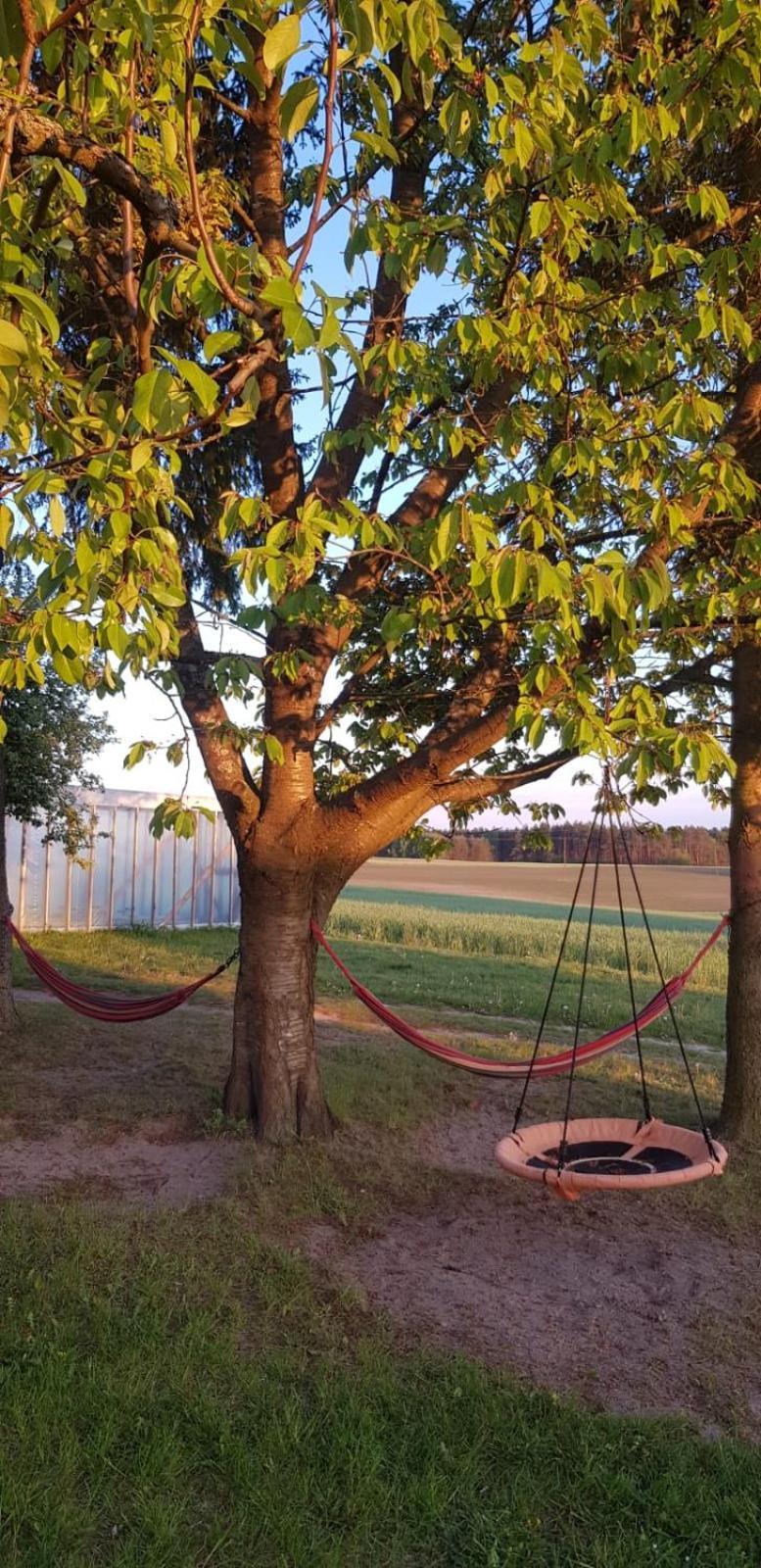 Wczasy Na Kaszubach U Hani Wiele Exteriér fotografie